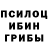 Галлюциногенные грибы мицелий Waffigo