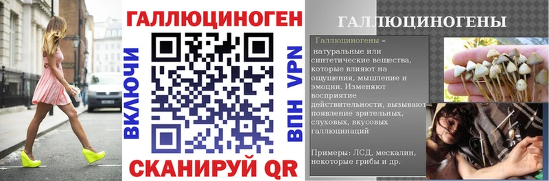 Псилоцибиновые грибы GOLDEN TEACHER  что такое   Новодвинск 